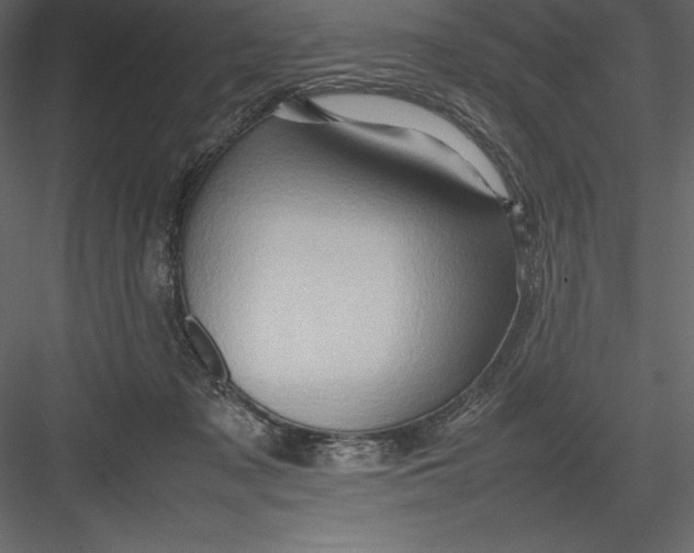 X0000082940317200702222253