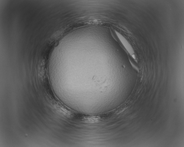 X0000082940318200702222253