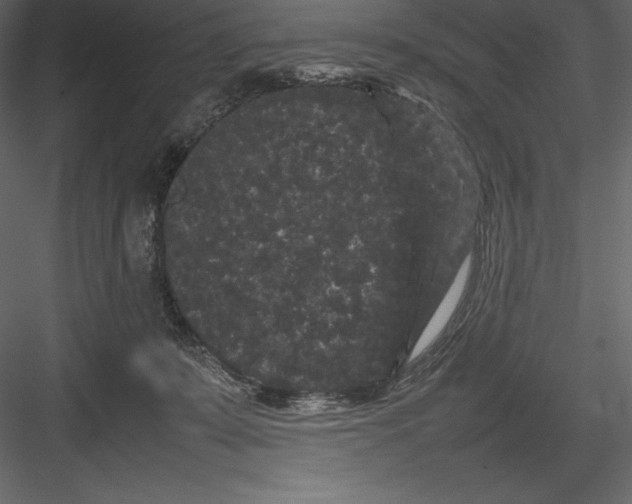 X0000082940319200702222253