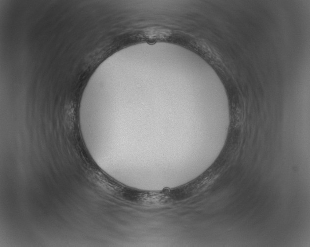 X0000082940321200702222253