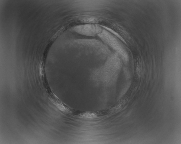 X0000082940322200702222253