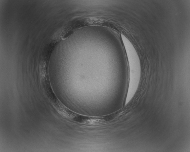 X0000082940323200702222253