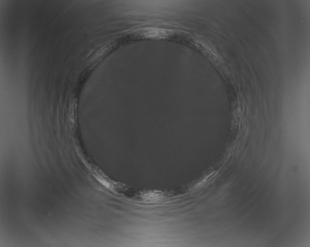 X0000082940325200702222253