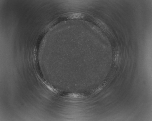 X0000082940326200702222253