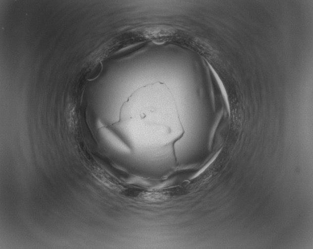 X0000082940327200702222253