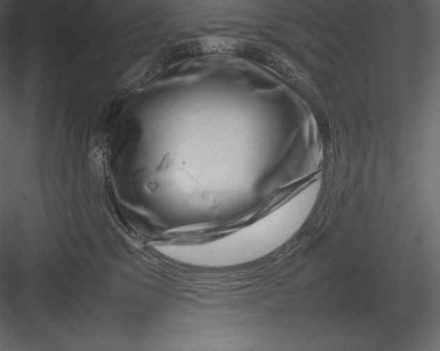 X0000082940329200702222253