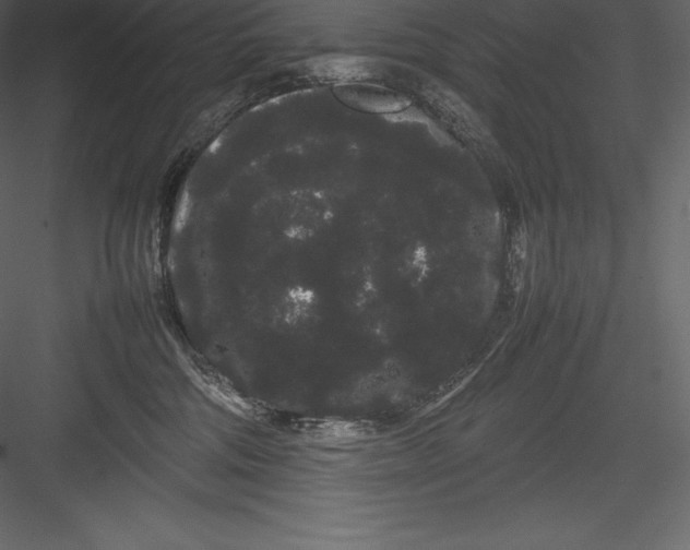 X0000082940330200702222253