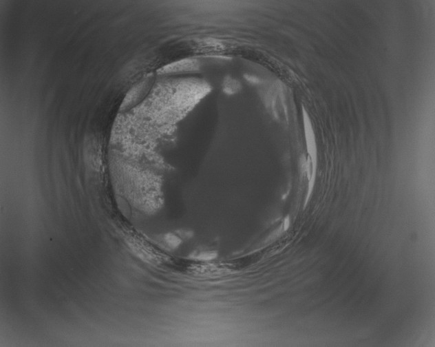 X0000082940331200702222253