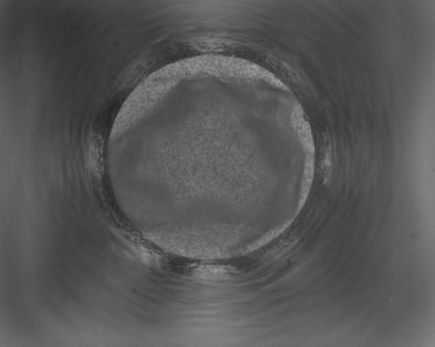 X0000082940332200702222253