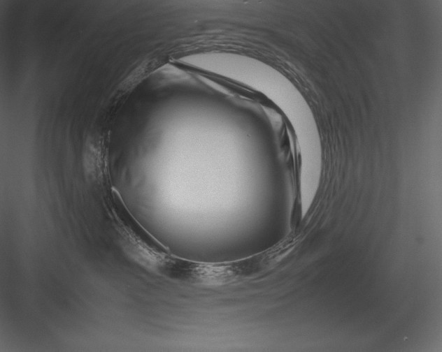 X0000082940333200702222253