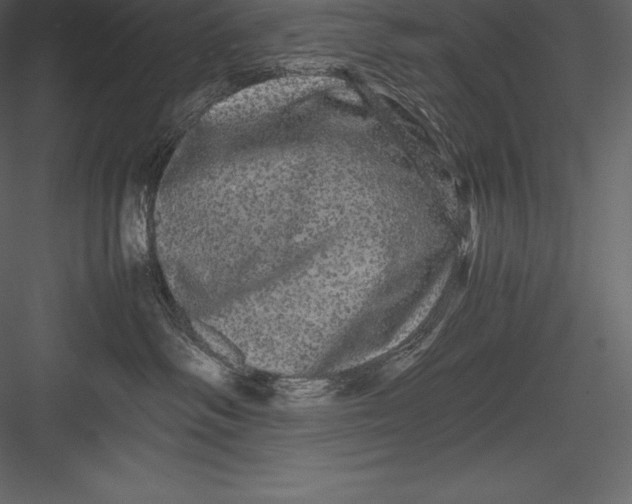 X0000082940334200702222253