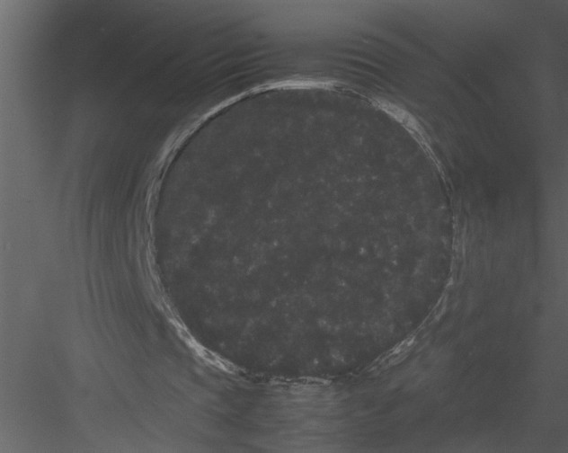 X0000082940337200702222252