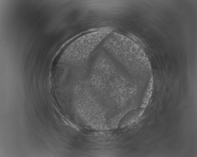 X0000082940338200702222252