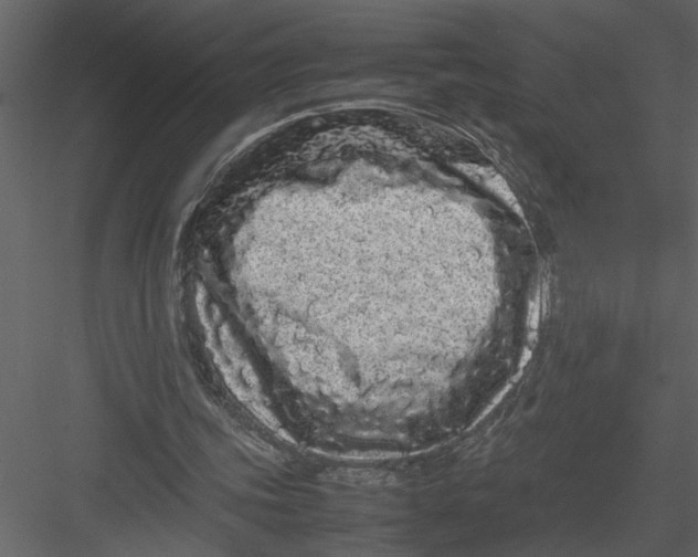 X0000082940339200702222252