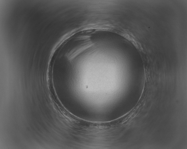 X0000082940340200702222252