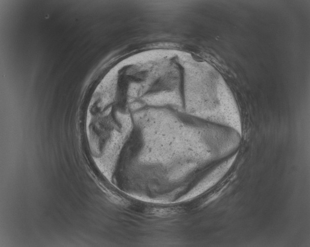 X0000082940341200702222252