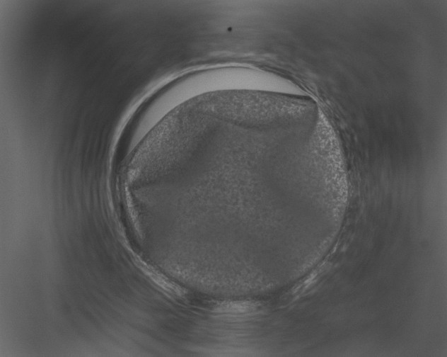 X0000082940342200702222252