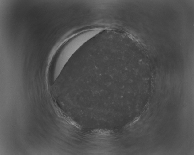 X0000082940343200702222252