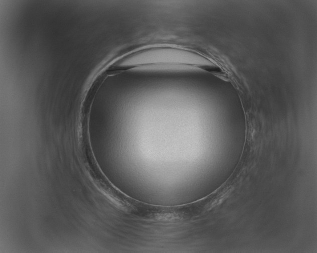 X0000082940344200702222252