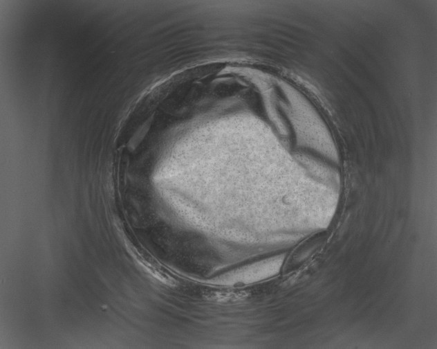 X0000082940345200702222252