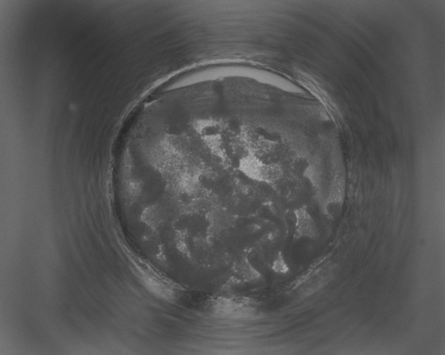 X0000082940346200702222252