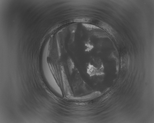 X0000082940349200702222253