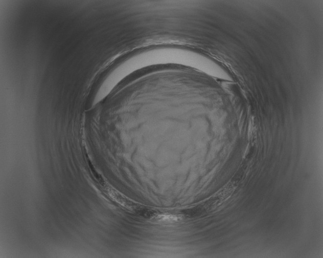 X0000082940352200702222253