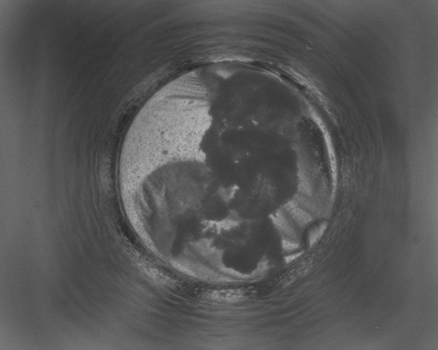 X0000082940353200702222253