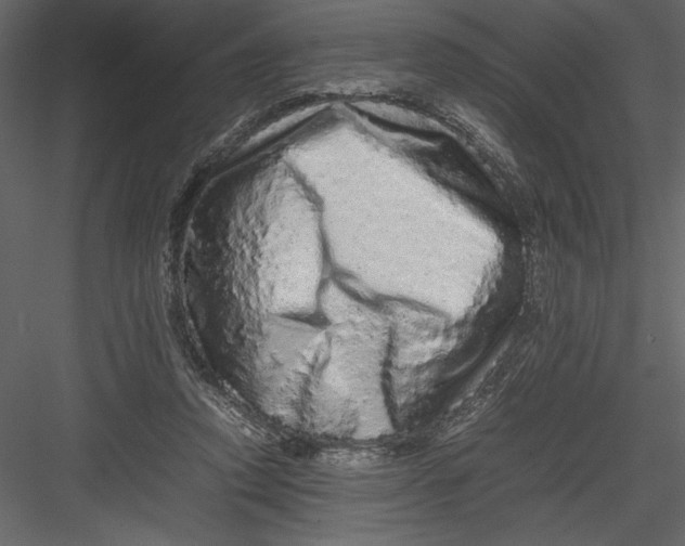 X0000082940354200702222253