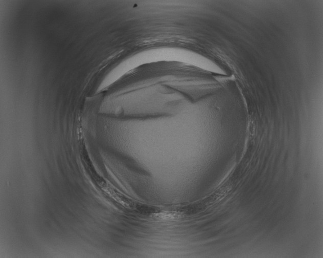 X0000082940356200702222253