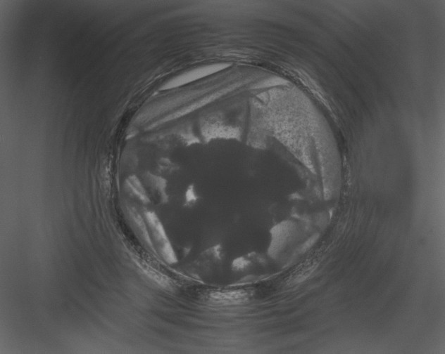 X0000082940357200702222253