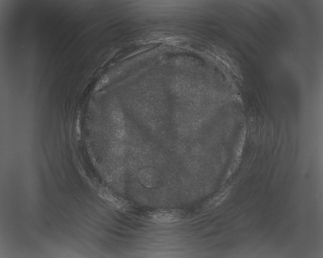 X0000082940358200702222253