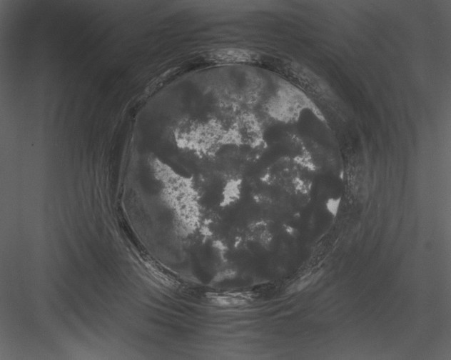 X0000082940359200702222253