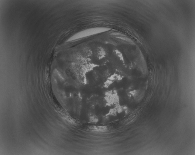 X0000082940361200702222253