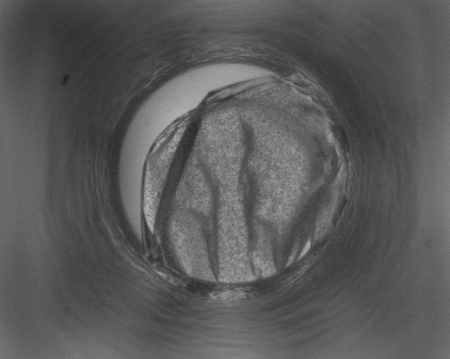 X0000082940362200702222253