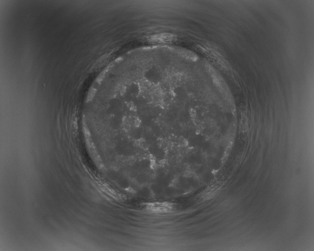 X0000082940363200702222253