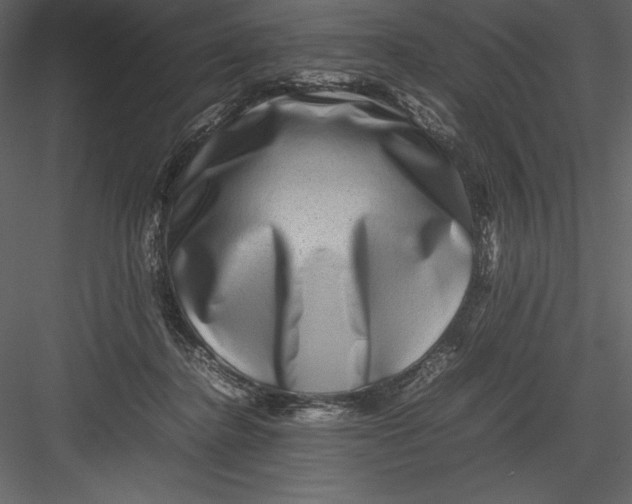 X0000082940364200702222253