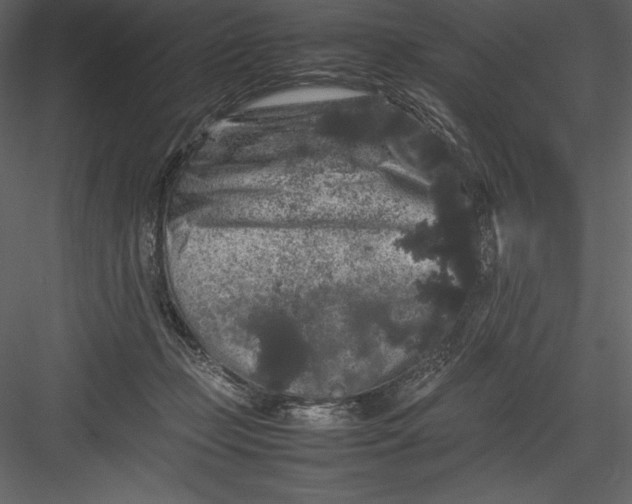 X0000082940365200702222253