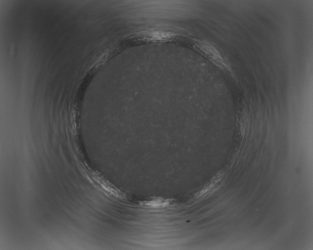 X0000082940366200702222253