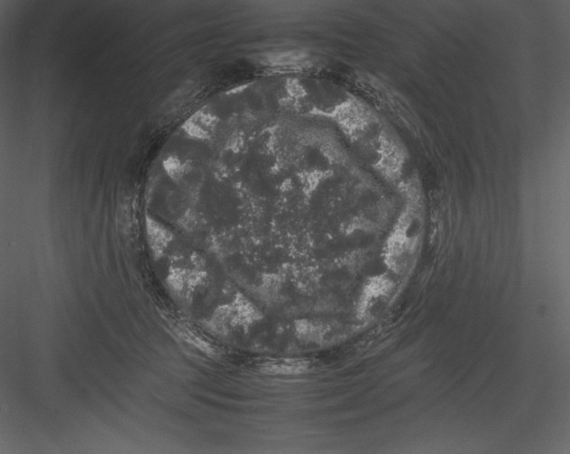 X0000082940369200702222253