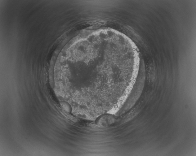 X0000082940370200702222253