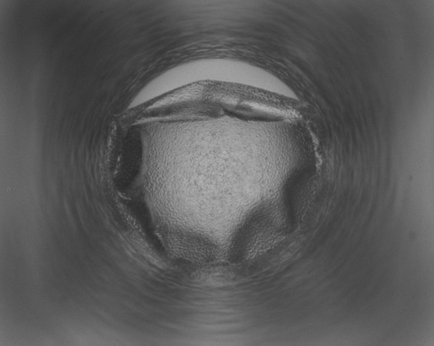 X0000082940372200702222253