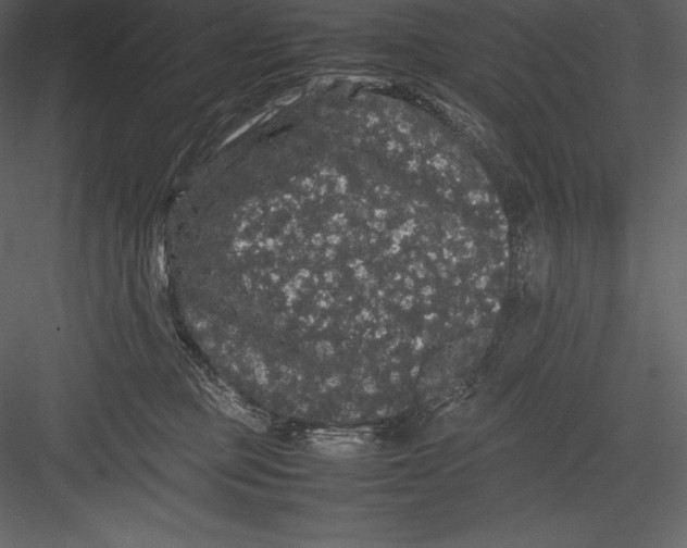 X0000082940373200702222253