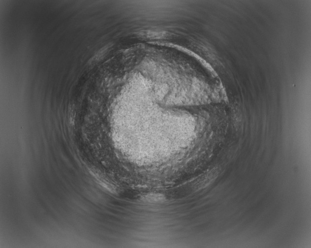 X0000082940374200702222253