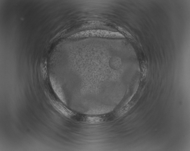 X0000082940376200702222253