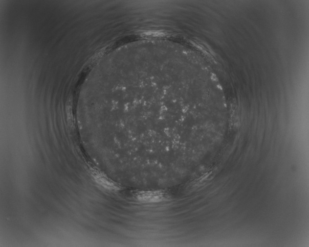 X0000082940377200702222253