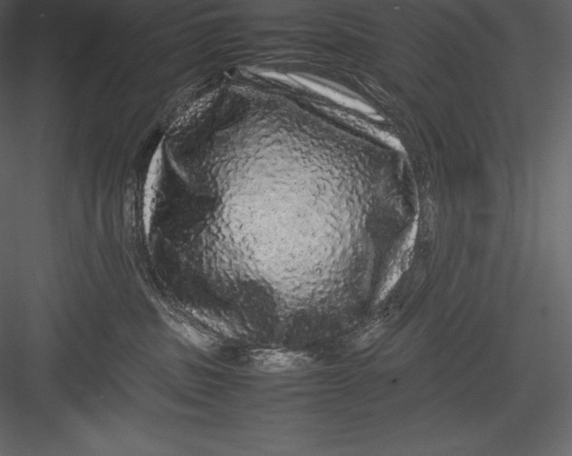 X0000082940379200702222253