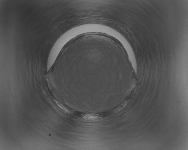 X0000082940380200702222253