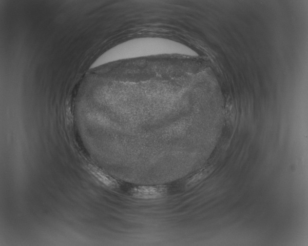 X0000082940381200702222253