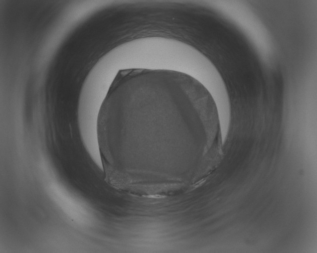 X0000082940382200702222253